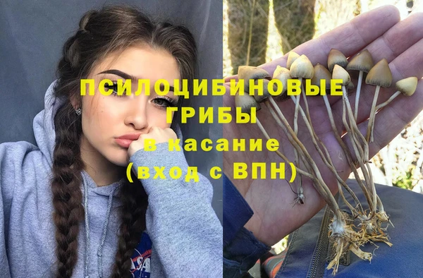 соль ск Богданович